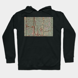 Cracked Wood Paint Hoodie